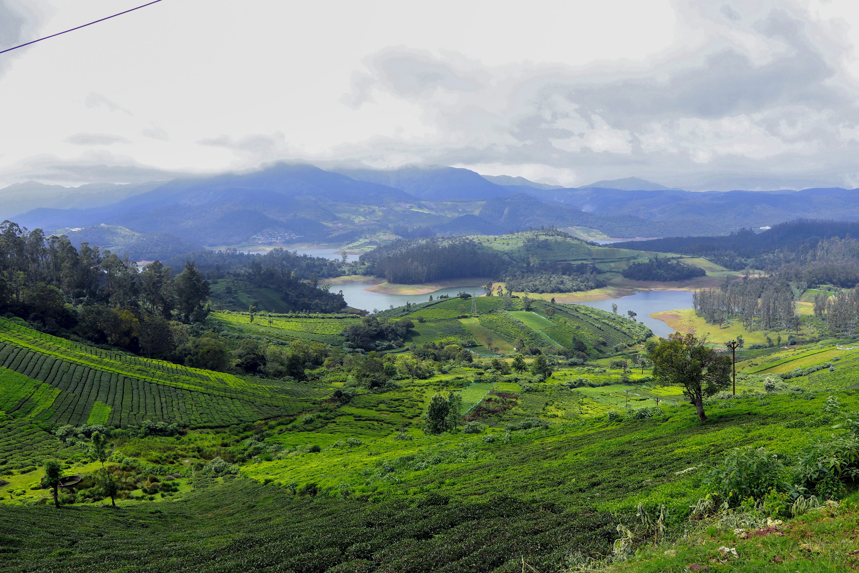 Ooty
